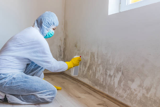 Mold Remediation specialist working in Ijamsville